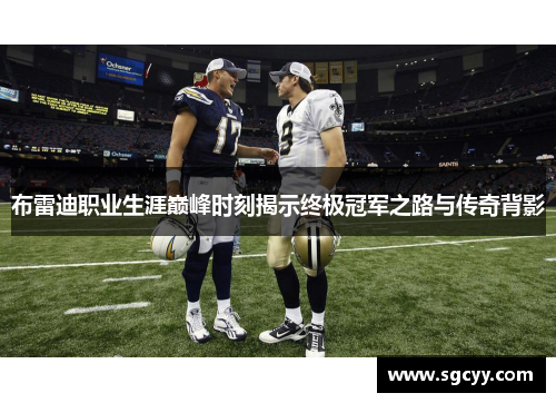 布雷迪职业生涯巅峰时刻揭示终极冠军之路与传奇背影