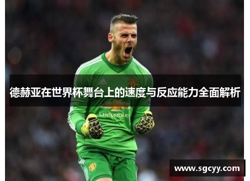 德赫亚在世界杯舞台上的速度与反应能力全面解析