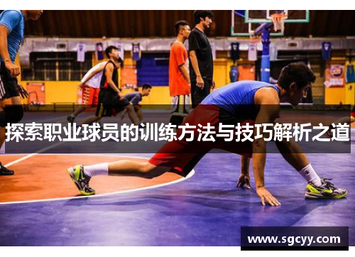 探索职业球员的训练方法与技巧解析之道
