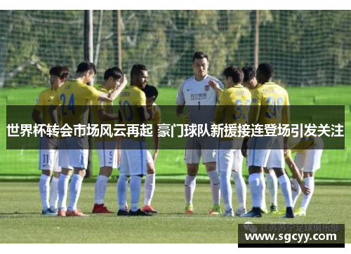 世界杯转会市场风云再起 豪门球队新援接连登场引发关注