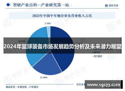 2024年篮球装备市场发展趋势分析及未来潜力展望