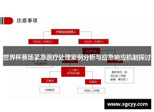 世界杯赛场紧急医疗处理案例分析与应急响应机制探讨