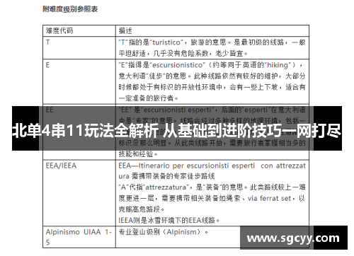 北单4串11玩法全解析 从基础到进阶技巧一网打尽