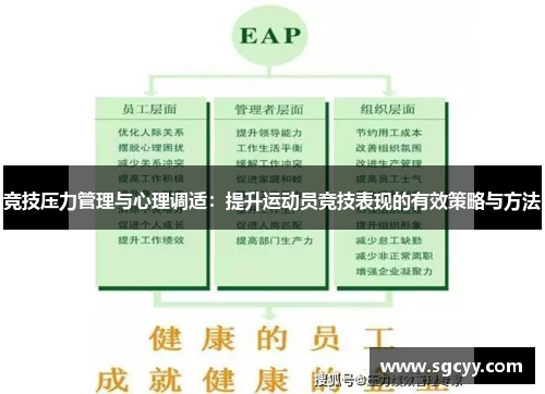 竞技压力管理与心理调适：提升运动员竞技表现的有效策略与方法
