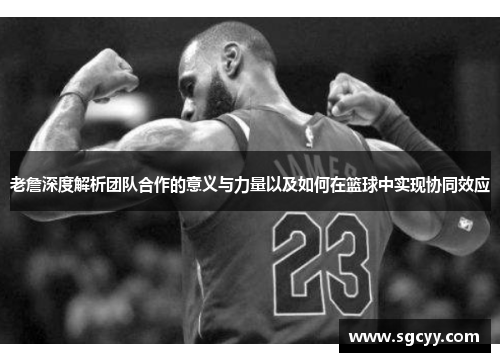 老詹深度解析团队合作的意义与力量以及如何在篮球中实现协同效应