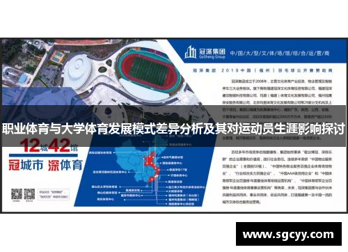 职业体育与大学体育发展模式差异分析及其对运动员生涯影响探讨