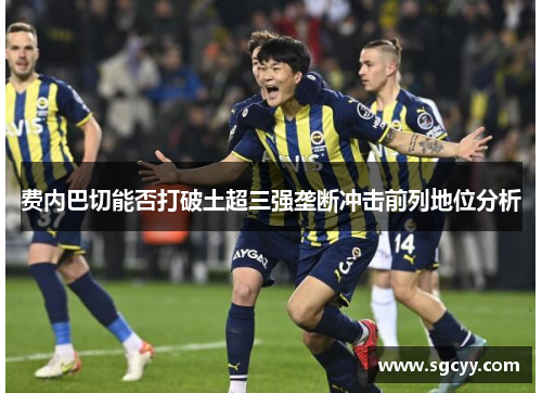 费内巴切能否打破土超三强垄断冲击前列地位分析