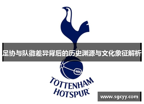 足协与队徽差异背后的历史渊源与文化象征解析