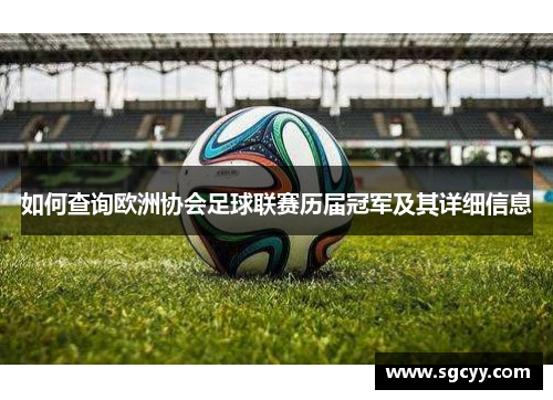 如何查询欧洲协会足球联赛历届冠军及其详细信息