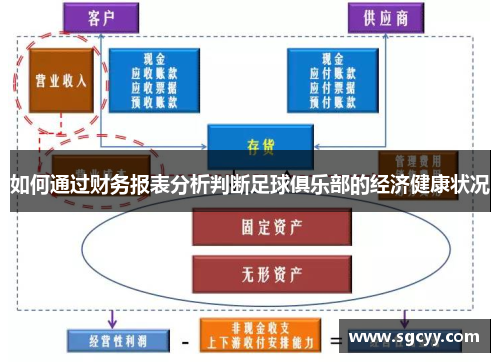 如何通过财务报表分析判断足球俱乐部的经济健康状况