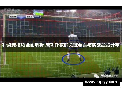 扑点球技巧全面解析 成功扑救的关键要素与实战经验分享