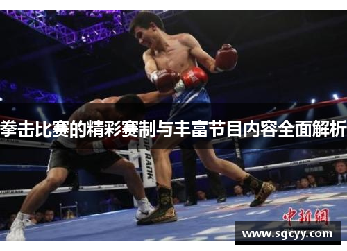 拳击比赛的精彩赛制与丰富节目内容全面解析